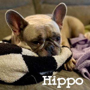 Thanks for shopping my closet!